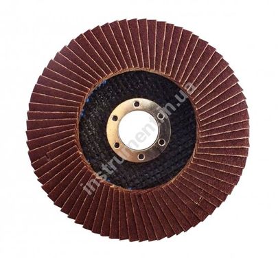 Плоский пелюстковий диск 125x22,2 мм WERK 35216