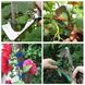 Садовий стрічковий інструмент для підв'язування рослин і дерев Tapetool tapener